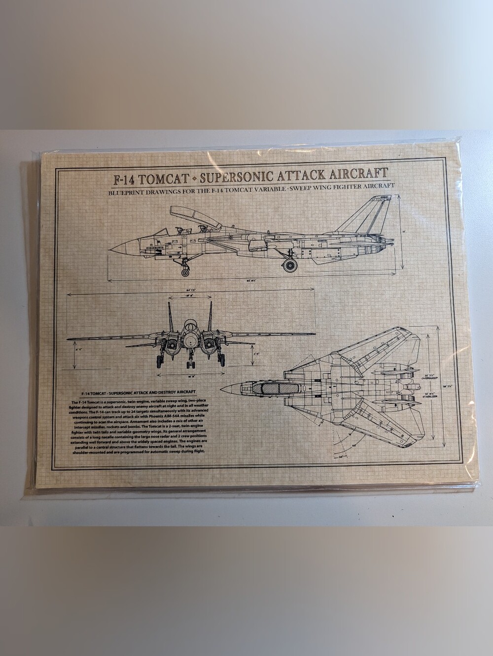 F-14 Tomcat Supersonic Attack Aircraft Blueprint Print - Beige